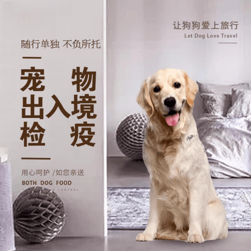 天津宠物托运到哥伦比亚猫狗宠物入境规定和