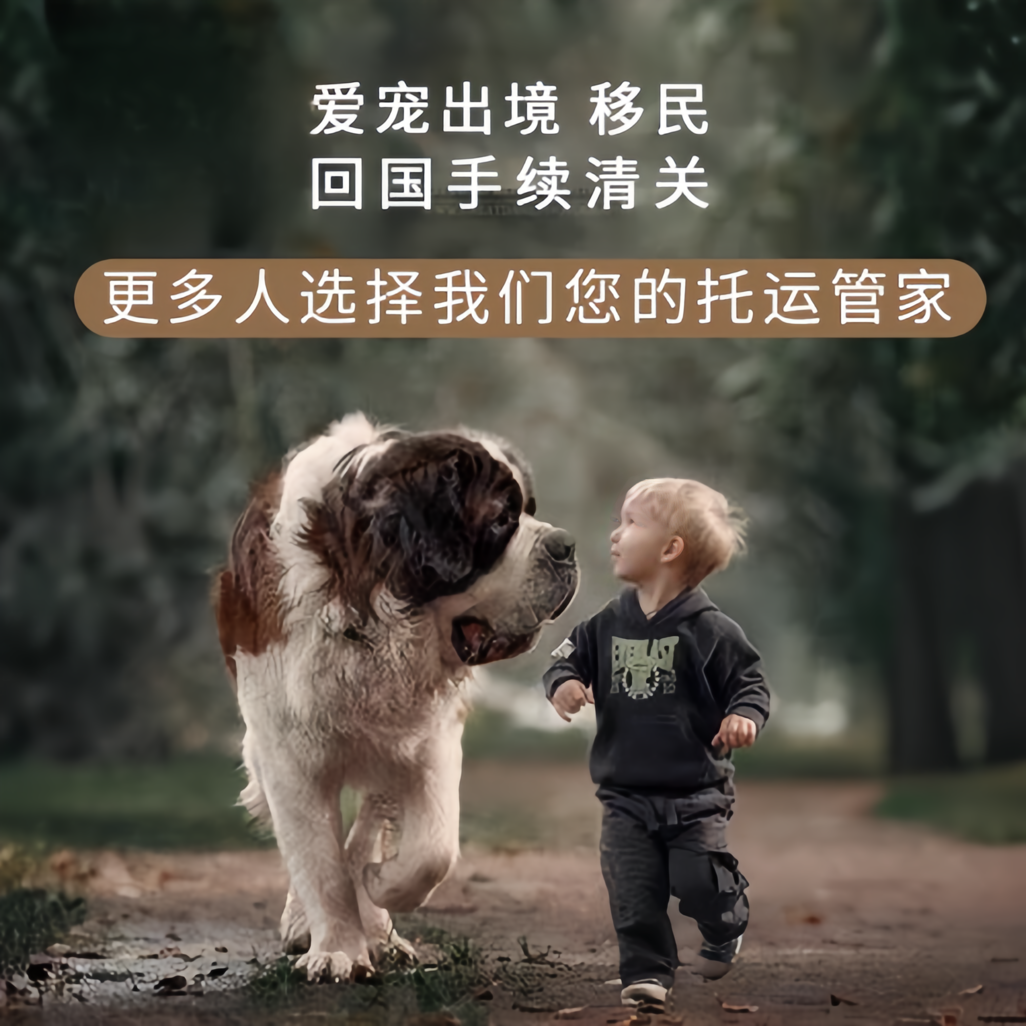 满财天津宠物全球达宠物托运在遵守入境目的地政策的条件