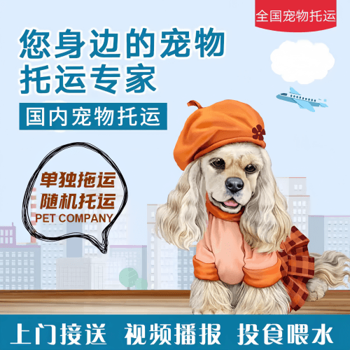 满财天津宠物全球达宠物托运作为专业的宠物运输代理机构